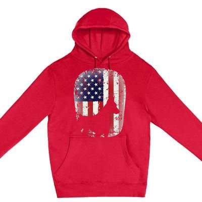 Funny Doberman Pinscher Art For  Doberman US Flag Premium Pullover Hoodie