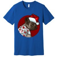 Funny Dog Pug Owner Gift Christmas Pug Gift Premium T-Shirt