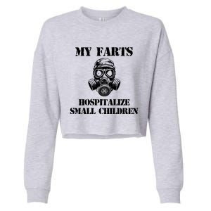 Funny Dad Quote My Farts Hospitalize Small Cool Dad Gift Cropped Pullover Crew