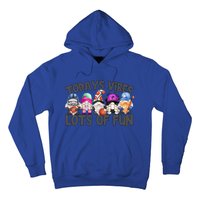 Field Day Quote Todays Vibes Lots Of Fun Gnomies Gift Hoodie