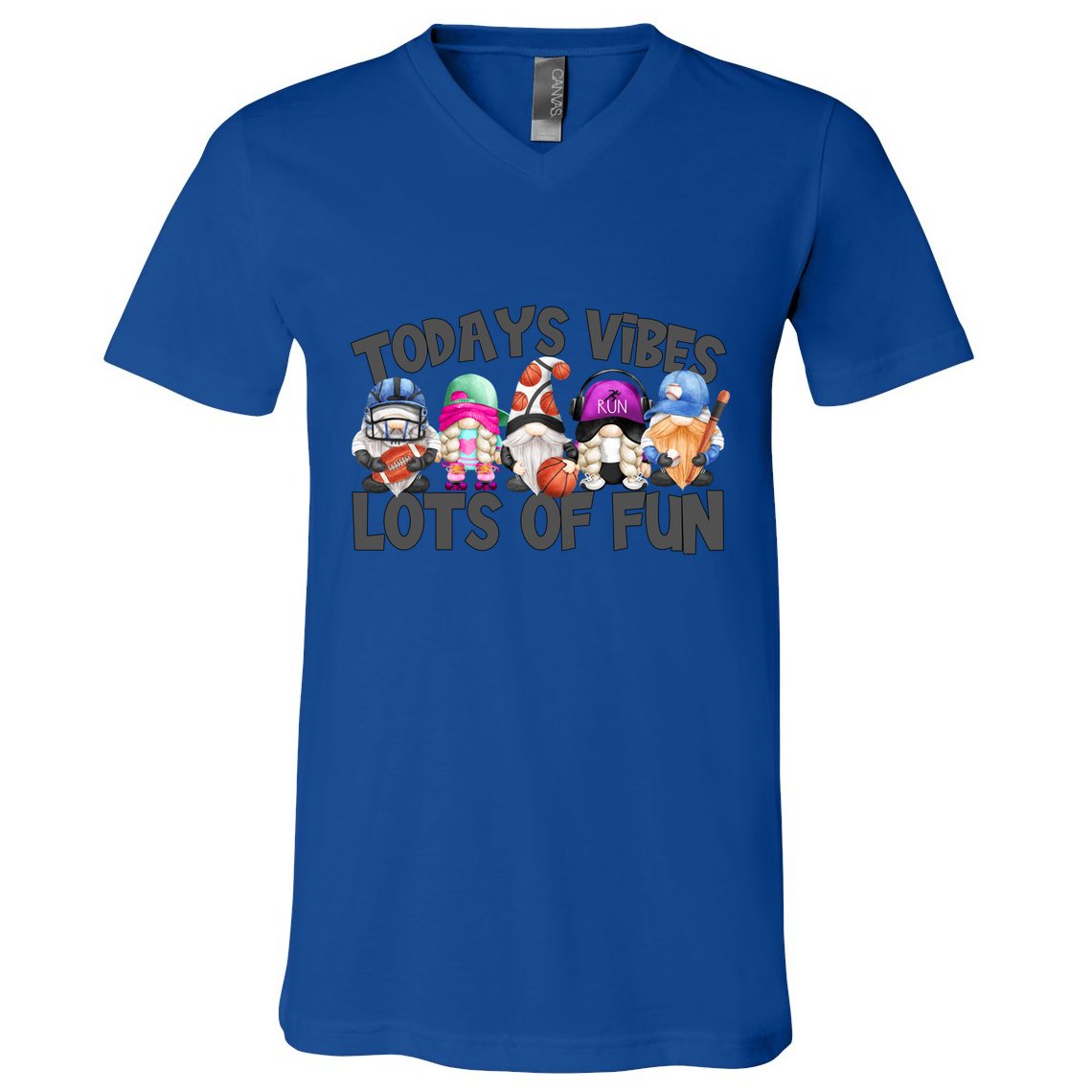 Field Day Quote Todays Vibes Lots Of Fun Gnomies Gift V-Neck T-Shirt
