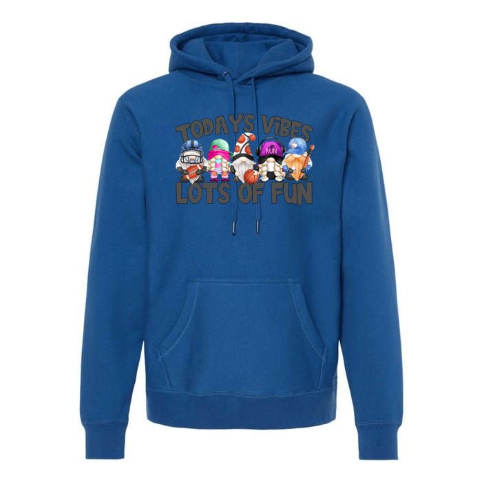 Field Day Quote Todays Vibes Lots Of Fun Gnomies Gift Premium Hoodie