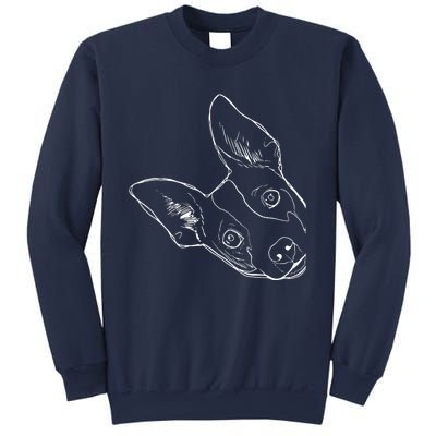 Funny Dog Rat Terrier Sweatshirt