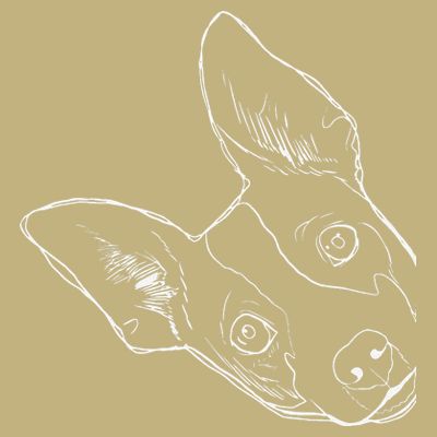 Funny Dog Rat Terrier T-Shirt