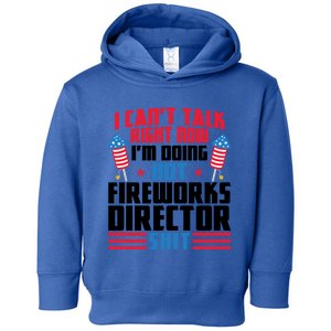 Fireworks Director Shit Firework Director Gift Toddler Hoodie