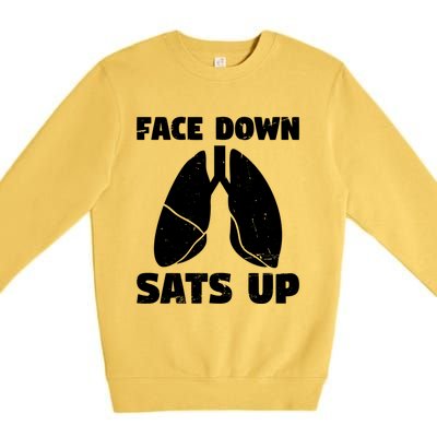 Face Down Sats Up Asthma Gift Premium Crewneck Sweatshirt