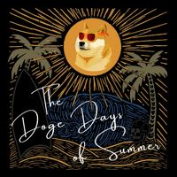 Funny Dogecoin Summer Sun Hodl To The Moon Crypto Currency Wool Snapback Cap