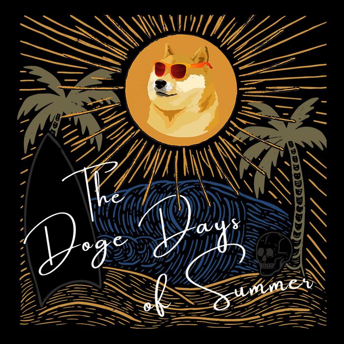 Funny Dogecoin Summer Sun Hodl To The Moon Crypto Currency Wool Snapback Cap