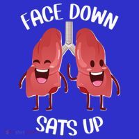 Face Down Sats Up Lungs Smiling Design For Healthcare Worker Meaningful Gift Toddler Sweatshirt