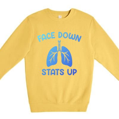 Face Down Sats Up Respiratory Therapist Cool Gift Premium Crewneck Sweatshirt