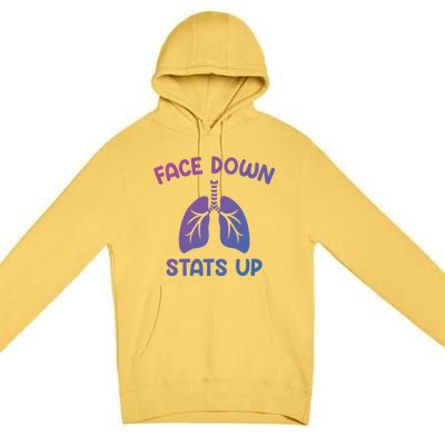 Face Down Sats Up Respiratory Therapist Cool Gift Premium Pullover Hoodie