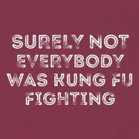 Funny Distressed Surely Not Everybody Was Kung Fu Fighting 16oz Travel Tumbler