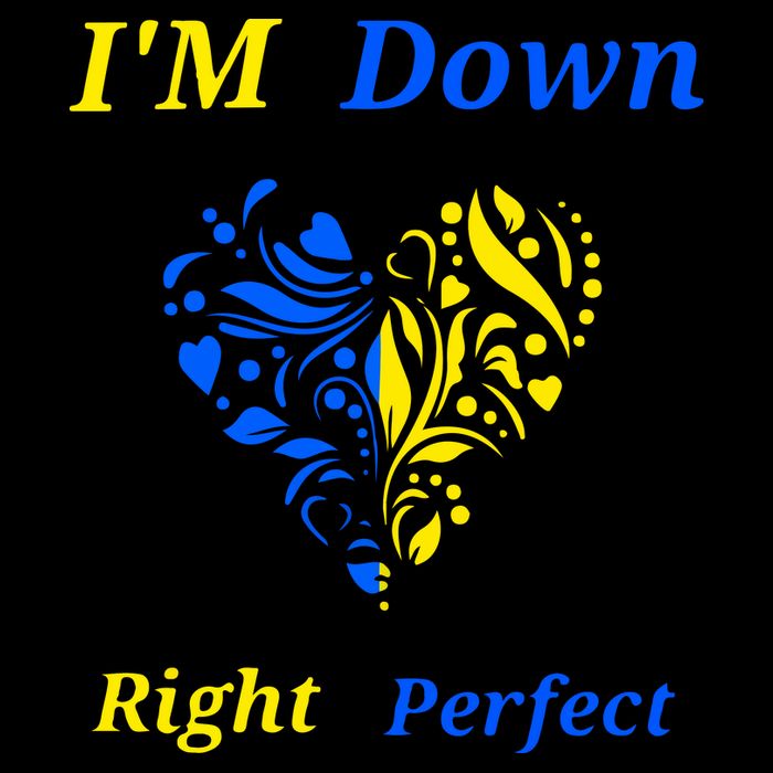 Funny Down Syndrome Right Perfect Heart Gift 7-Panel Snapback Hat