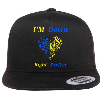 Funny Down Syndrome Right Perfect Heart Gift Flatbill Hat