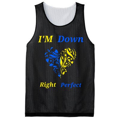 Funny Down Syndrome Right Perfect Heart Gift Mesh Reversible Basketball Jersey Tank