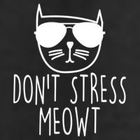 Funny Don't Stress Meowt Cat Owner Don't Stress Me Out Pun Cute Gift 11oz C Handle Ceramic Mug