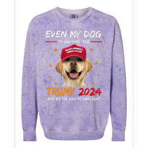 Funny Dog Saying Lover Even My Dog Is Waiting For Trump 2024 Colorblast Crewneck Sweatshirt