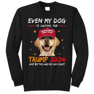 Funny Dog Saying Lover Even My Dog Is Waiting For Trump 2024 Sweatshirt