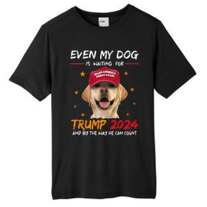 Funny Dog Saying Lover Even My Dog Is Waiting For Trump 2024 Tall Fusion ChromaSoft Performance T-Shirt