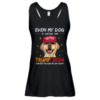 Funny Dog Saying Lover Even My Dog Is Waiting For Trump 2024 Ladies Essential Flowy Tank