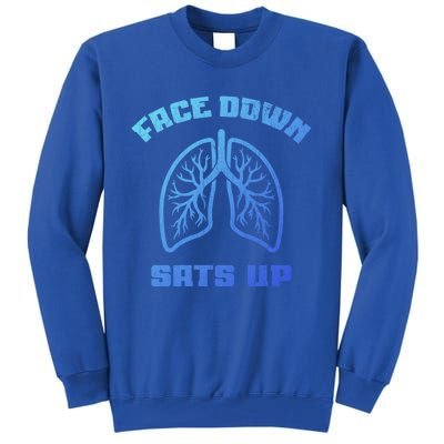 Face Down Sats Up Funny Healthcare Worker Nurses Graphic Cool Gift Tall Sweatshirt