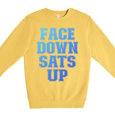 Face Down Sats Up Funny Respiratory Therapist Therapy Cute Gift Premium Crewneck Sweatshirt