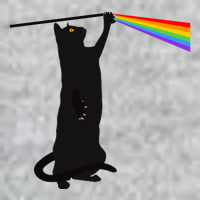 Funny Dark Side Of The Cat Tall T-Shirt