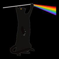 Funny Dark Side Of The Cat 16 in Basic Backpack