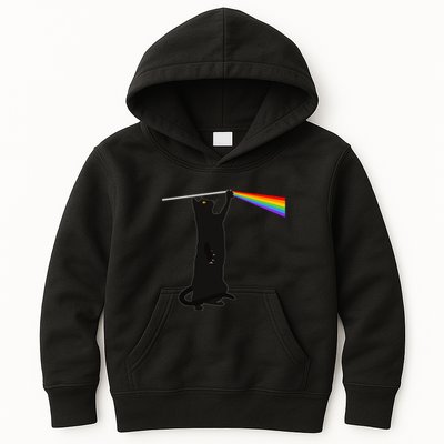 Funny Dark Side Of The Cat Kids Hoodie