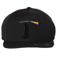 Funny Dark Side Of The Cat Wool Snapback Cap