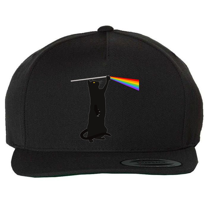 Funny Dark Side Of The Cat Wool Snapback Cap
