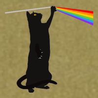 Funny Dark Side Of The Cat Garment-Dyed Women's Muscle Tee