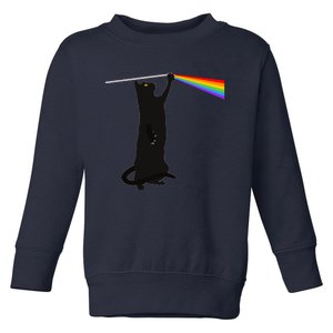 Funny Dark Side Of The Cat Toddler Sweatshirt