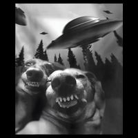 Funny Dogs Selfie With UFOs City Backpack