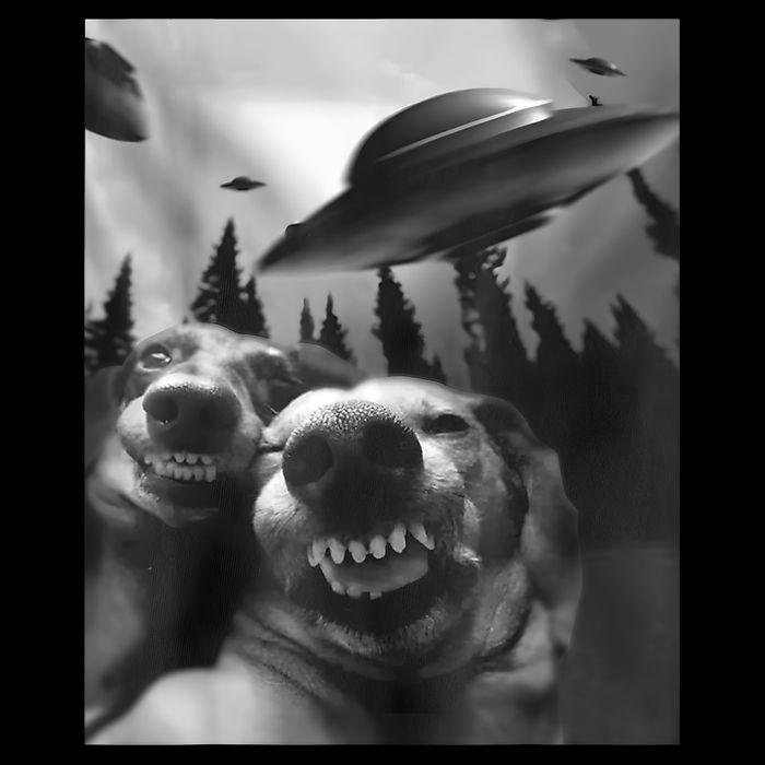 Funny Dogs Selfie With UFOs City Backpack