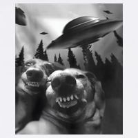 Funny Dogs Selfie With UFOs Cooling Performance Crew T-Shirt