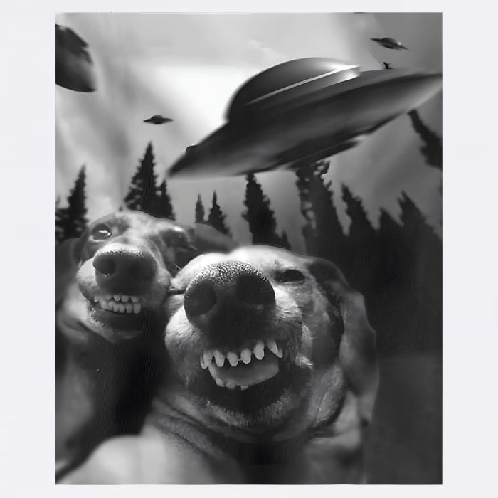 Funny Dogs Selfie With UFOs Adult Drive Performance Visor