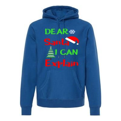 Funny Dear Santa I Can Explain Christmas Xmas Sweater Jumper Gift Premium Hoodie