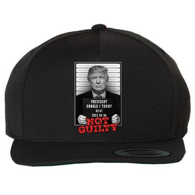 Funny Donald Trump Not Guilty Mug Shot Free Trump 2024 Wool Snapback Cap