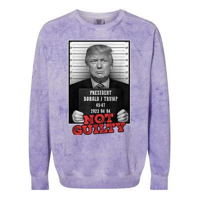 Funny Donald Trump Not Guilty Mug Shot, Free Trump 2024 Colorblast Crewneck Sweatshirt