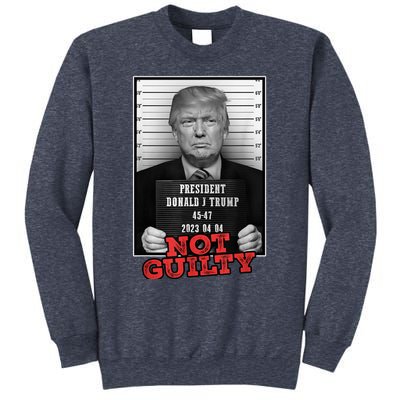 Funny Donald Trump Not Guilty Mug Shot, Free Trump 2024 Sweatshirt