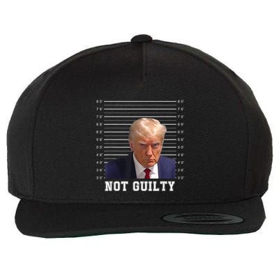 Free Donald Trump Mug Shot Republican President MAGA 2024 Wool Snapback Cap