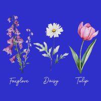Foxglove Daisy Tulip Floral  16 in Basic Backpack