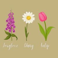 Foxglove Daisy Tulip Cute Flowers Floral Plant Wildflowers Button