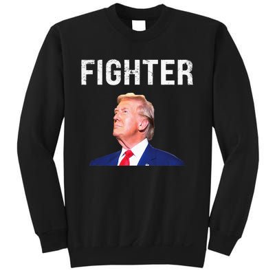 Fighter Donald Trump 2024 Sweatshirt