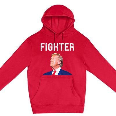 Fighter Donald Trump 2024 Premium Pullover Hoodie