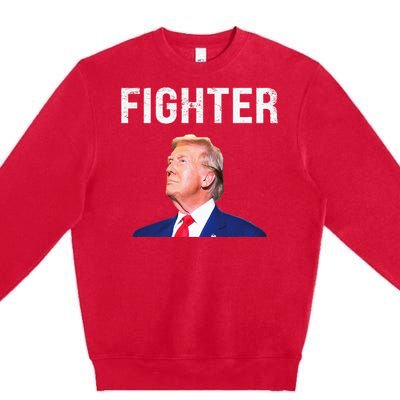 Fighter Donald Trump 2024 Premium Crewneck Sweatshirt