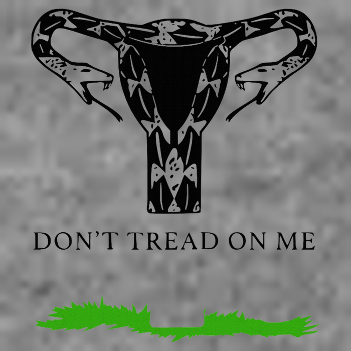 Feminist Don’T Tread On Me Uterus Don’T Tread On Me Uterus Hooded Wearable Blanket