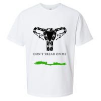 Feminist Don’T Tread On Me Uterus Don’T Tread On Me Uterus Sueded Cloud Jersey T-Shirt