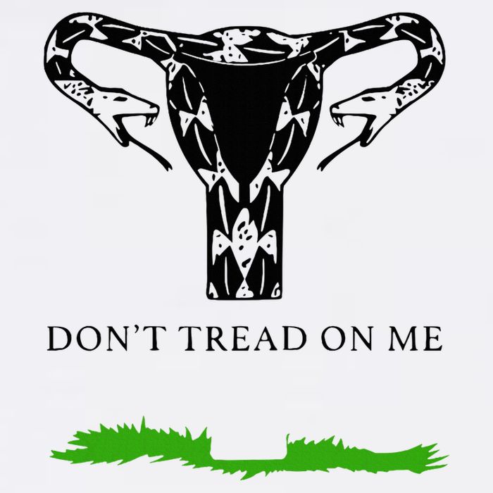 Feminist Don’T Tread On Me Uterus Don’T Tread On Me Uterus Flatbill Hat